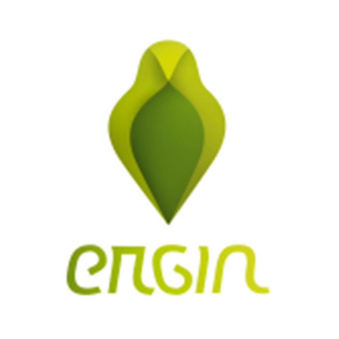 ERGIN Societ� Consortile a R.L.